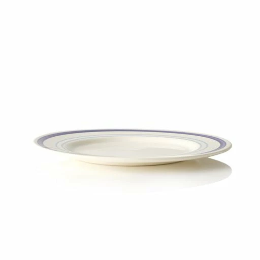 Dinner Plate With Three Blue Stripe Detail 4 Dinner Plate With Three Blue Stripe Detail - Image 2