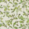 Cobnut Wallpaper - Off White Wallpaper -Penguin Random House Sales Store Cobnut swatch