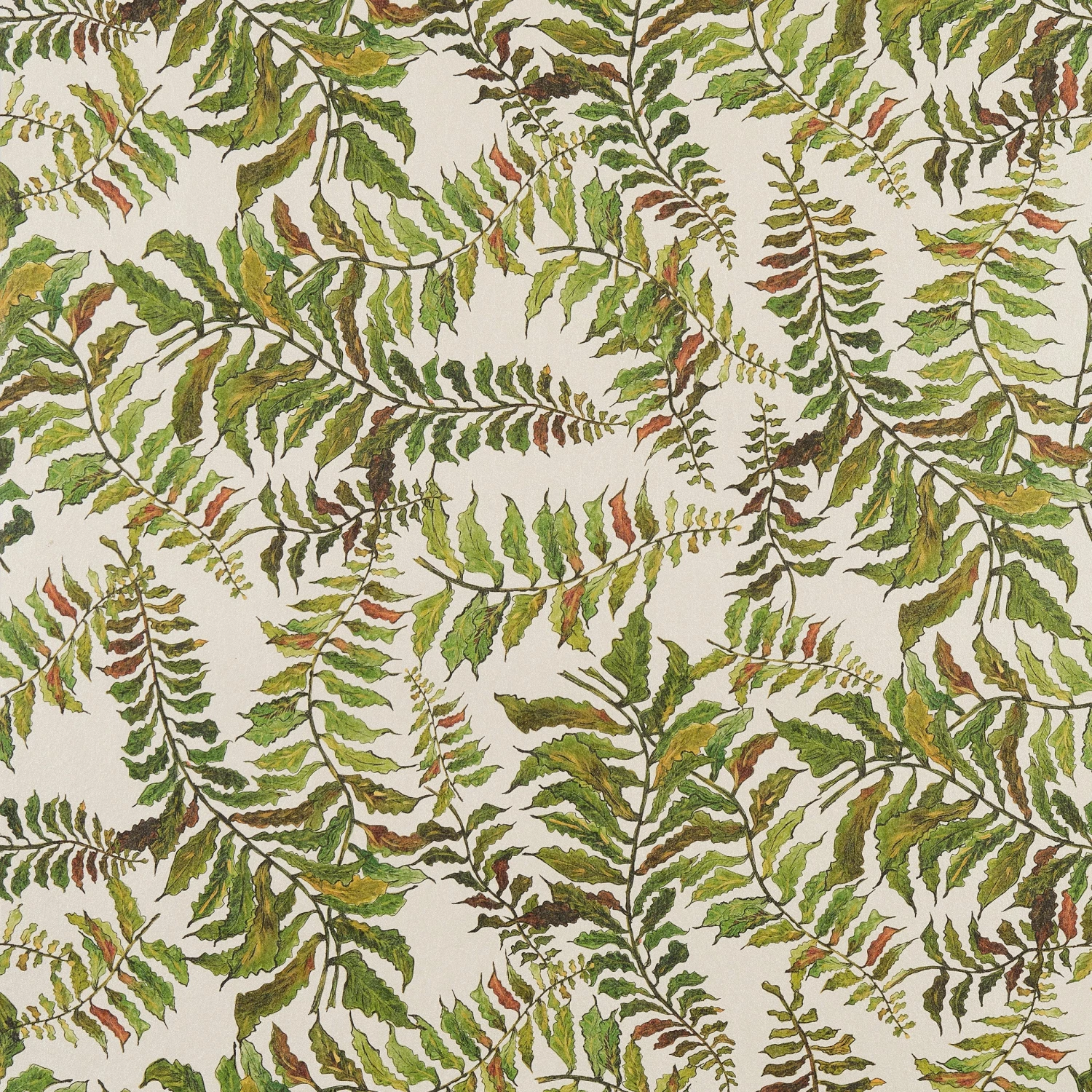 Fern Wallpaper - Shimmer Base Wallpaper 3 Fern Wallpaper - Shimmer Base Wallpaper