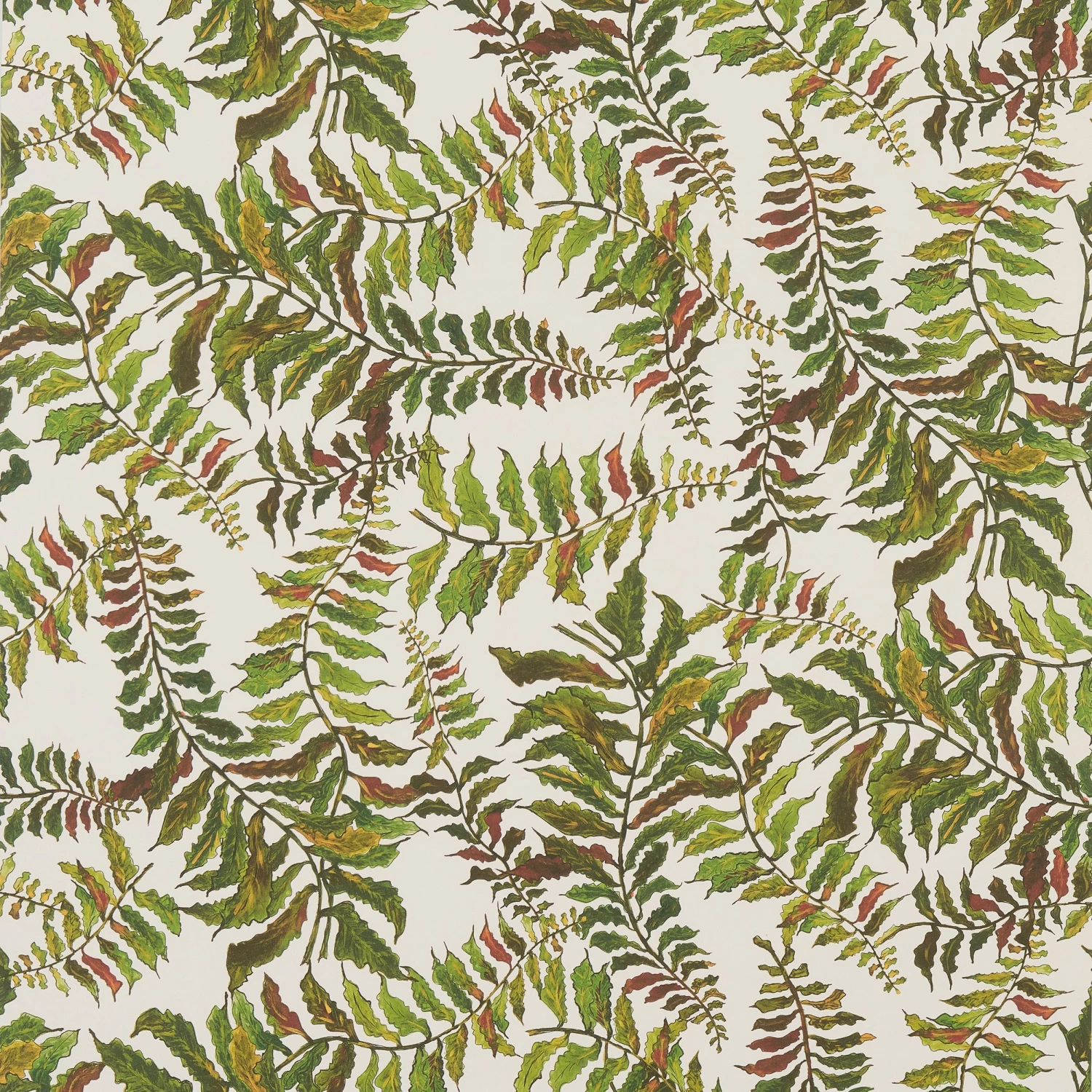 Fern Wallpaper - Off White Wallpaper 3 Fern Wallpaper - Off White Wallpaper