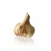 Hand Painted Decorative Garlic -Penguin Random House Sales Store Garlicsideview120520v1