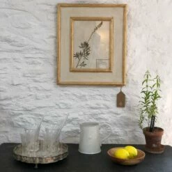 Constellation Jug -Penguin Random House Sales Store IMG 0824 d9c4230a 3a58 4a45 8891 d52c8c4dcd2b