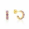 Ortigia Mini Amethyst & Gold Vermeil Hoop Earrings -Penguin Random House Sales Store Mini Ortigia Gold Amethyst Earrings