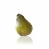 Hand Painted Decorative Pear 1 Hand Painted Decorative Pear -Penguin Random House Sales Store Pearupright120520v1