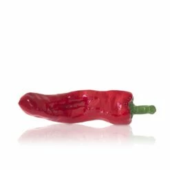 Hand Painted Decorative Red Pepper