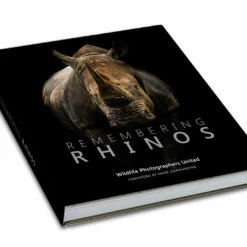 Remembering Rhinos