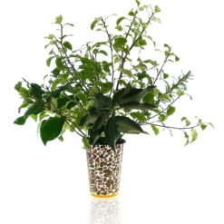 Mottled Tiger Moth Tumbler -Penguin Random House Sales Store ScreenShot2022 03 08at17.11.18