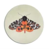 Tiger Moth Placemat -Penguin Random House Sales Store ScreenShot2022 03 08at21.14.01
