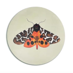 Tiger Moth Placemat