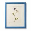 Blue Sweet Pea In Cornflower Frame By Clove At Home -Penguin Random House Sales Store Swan artworks 019