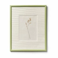 Late Summer Grass In Green Frame By Clove At Home