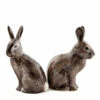 Wild Rabbit Salt & Pepper Shakers 2 Wild Rabbit Salt & Pepper Shakers -Penguin Random House Sales Store WildRabbitsaltandpepper02