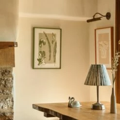 Fern Party By Laura Vaughan