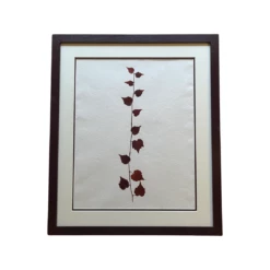 Four Seasons In Aubergine By Clove At Home -Penguin Random House Sales Store clove3