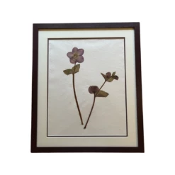 Four Seasons In Aubergine By Clove At Home -Penguin Random House Sales Store clove4